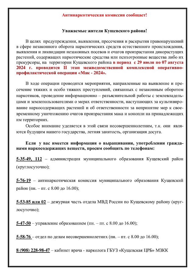 image 13 08 24 11 44